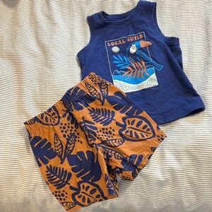 Carter's 12M Tshirt and Shorts Set
